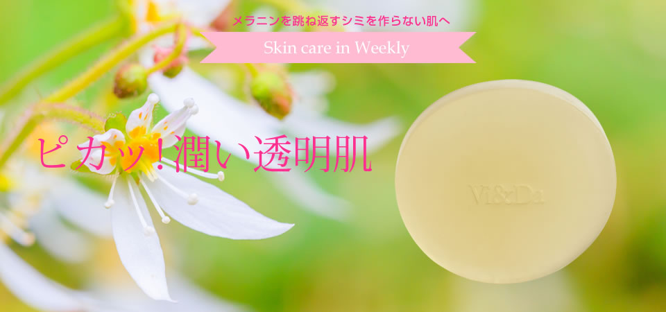 Vida Mio (ヴィダミーオ)ユキノシタ